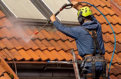 Démoussage et hydrofuge de toiture à Tromborn